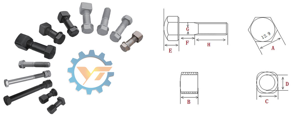 Structure and Main Dimensions of bolt and nut